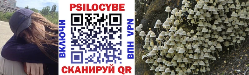 Псилоцибиновые грибы мухоморы  Тимашёвск 